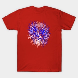 Light Up The Night Sky Colorful Fireworks Celebrations 8 T-Shirt